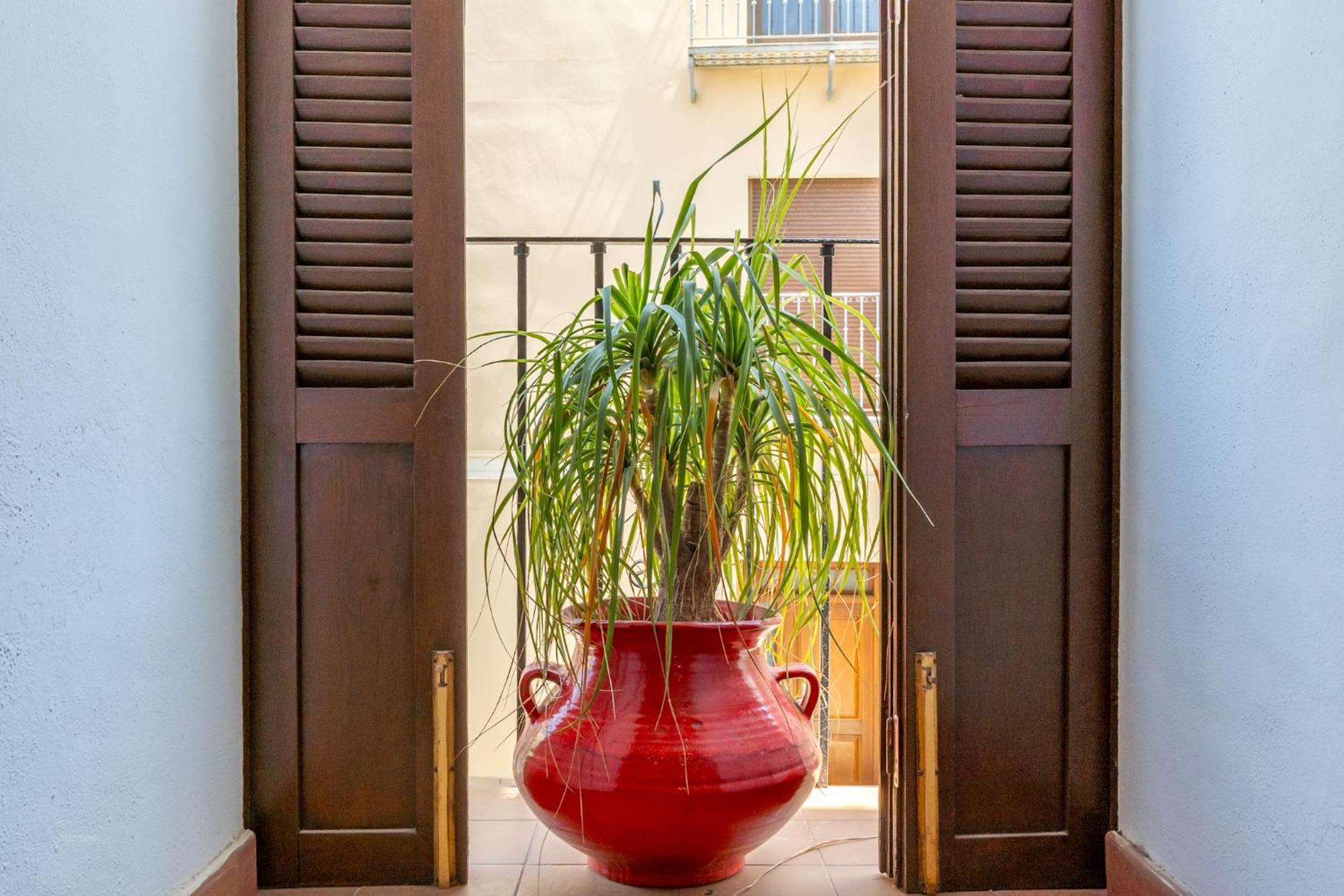 Denia Townhouse Leilighet Eksteriør bilde